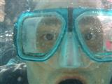 trip