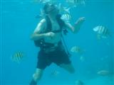 trip