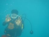 trip